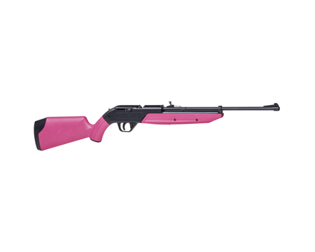 Crosman® 760 Pumpmaster BB Rifle - Pink