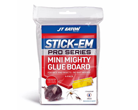 JT Eaton® Glue Board Trap for Insects/Mice 4 Pack
