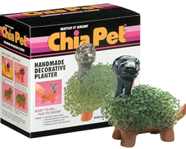 Chia Pet® Dinosaur