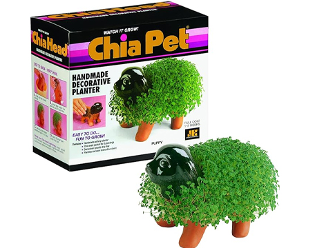 Chia Pet® Puppy