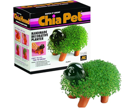 Chia Pet® Puppy