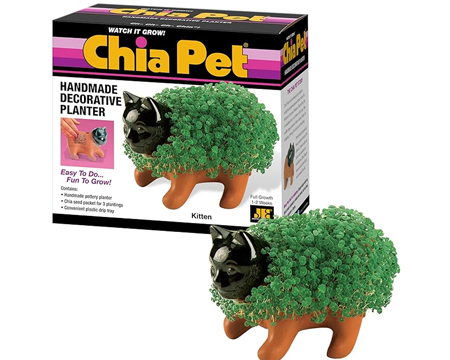 Chia Pet® Kitten