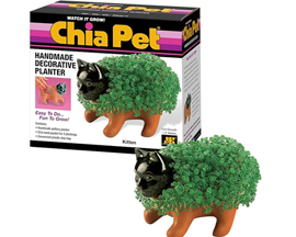 Chia Pet® Kitten