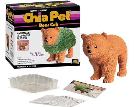 Chia Pet® Bear Cub
