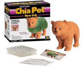 Chia Pet® Bear Cub