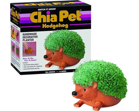 Chia Pet® Hedgehog Decorative Planter