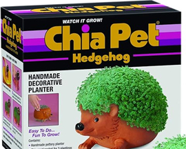 Chia Pet® Hedgehog Decorative Planter