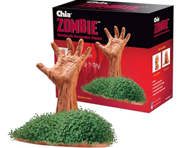 Chia Pet® Zombie