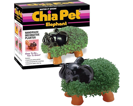 Chia Pet® Elephant