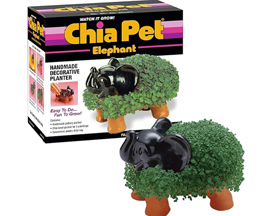 Chia Pet® Elephant