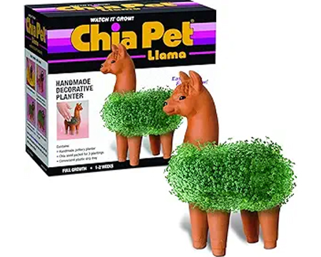 Chia Pet® Llama