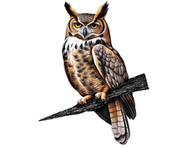 Spinfinity® Great Horned Owl Tree Stake