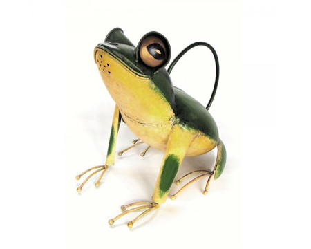 Tree Frog Watering Can