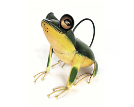 Tree Frog Watering Can
