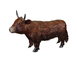 Highland Cow Decor