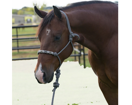 Professional's Choice Beaded Halter Rope - Charcoal
