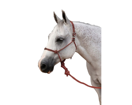 Professional's Choice Easy-On Rope Halter with Lead - Orange