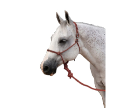 Professional's Choice Easy-On Rope Halter with Lead - Orange