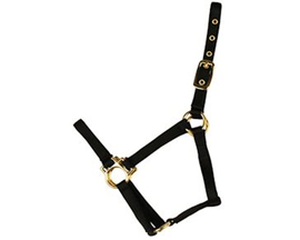 Valhoma® Econo Halter - Large Black