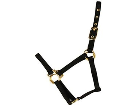 Colt Economy Black Halter