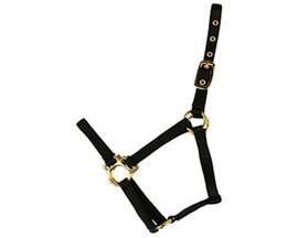 Colt Economy Black Halter