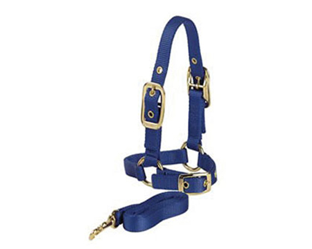 Sheep Halter with Adjustable Chin and 5 ft Lead
