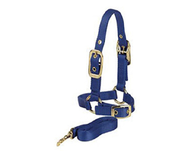 Sheep Halter with Adjustable Chin and 5 ft Lead