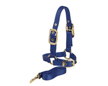 Valhoma&reg; Sheep Holding Halter - Blue