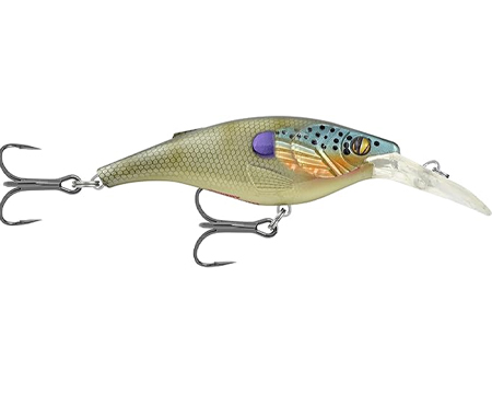 Kinchou Shad 7 Bluegill Diving Lure
