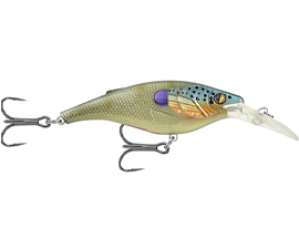 Kinchou Shad 7 Bluegill Diving Lure