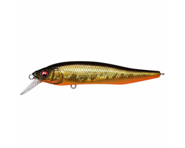 X-Nanahan GG Megabass Kinkuro