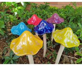 Sun Drenched Mushrooms - Large