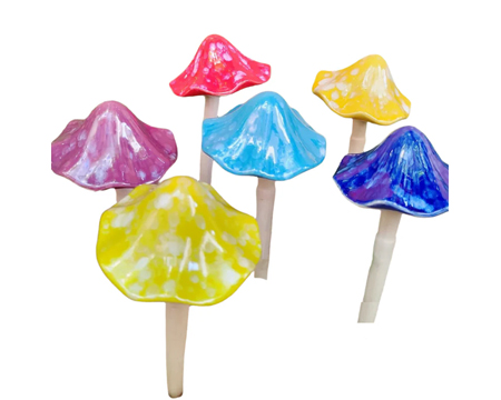 Sun Drenched Mushrooms - Medium