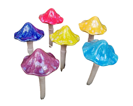 Small Sun Drenched Mushrooms