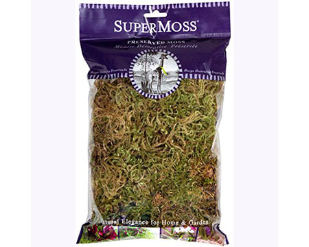 SuperMoss&reg; 2 oz. Potted Plants Forest Dried Decorative Moss - Natural Green