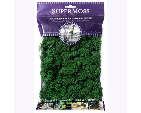SuperMoss&reg; 2 oz. Reindeer Preserved Moss - Forest Green