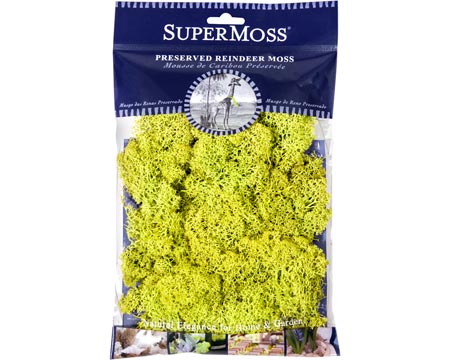 SuperMoss&reg; 2 oz. Chartreuse Preserved Reindeer Moss