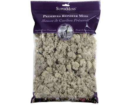SuperMoss&reg; 8 oz. Preserved & Bagged Natural Reindeer Moss