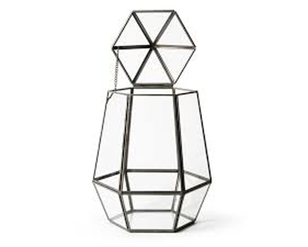 SuperMoss&reg; Elegant Indoor Glass Terrarium Atrium