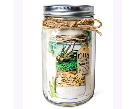 SuperMoss&reg; 32 oz. DIY Mason Terrarium Kit Jar - Laguna