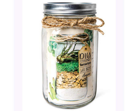 SuperMoss&reg; 32 oz. DIY Mason Terrarium Kit Jar - Portland