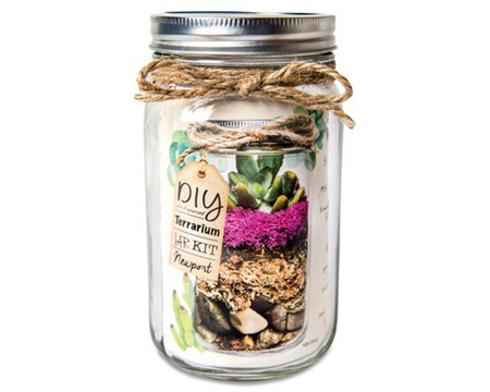 SuperMoss&reg; 32 oz. DIY Mason Terrarium Kit Jar - Newport