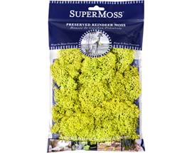 SuperMoss&reg; 2 oz. Chartreuse Preserved Reindeer Moss