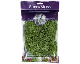 SuperMoss&reg; 2 oz. Preserved Spanish Moss - Natural Green