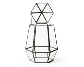 SuperMoss&reg; Elegant Indoor Glass Terrarium Atrium