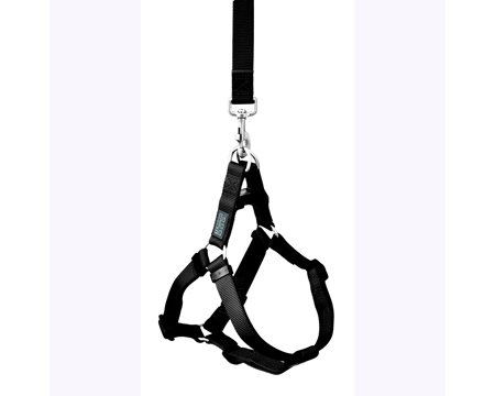 Terrain D. O. G.&reg; Large Neoprene Lined Harness - Black