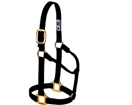 Weaver Leather&reg; Medium Original Non-Adjustable Nylon Halter - Black
