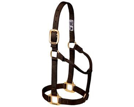 Weaver Leather&reg; Medium Original Non-Adjustable Nylon Halter - B