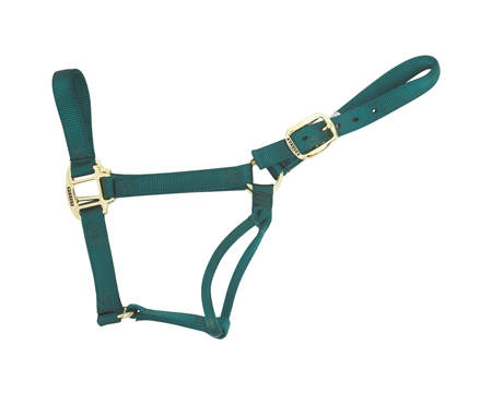 Weaver Leather&reg; Medium Original Non-Adjustable Nylon Halter - Hunter Green