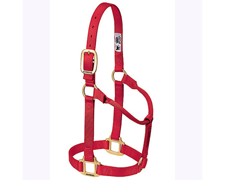Weaver Leather&reg; Medium Original Non-Adjustable Nylon Halter - Red